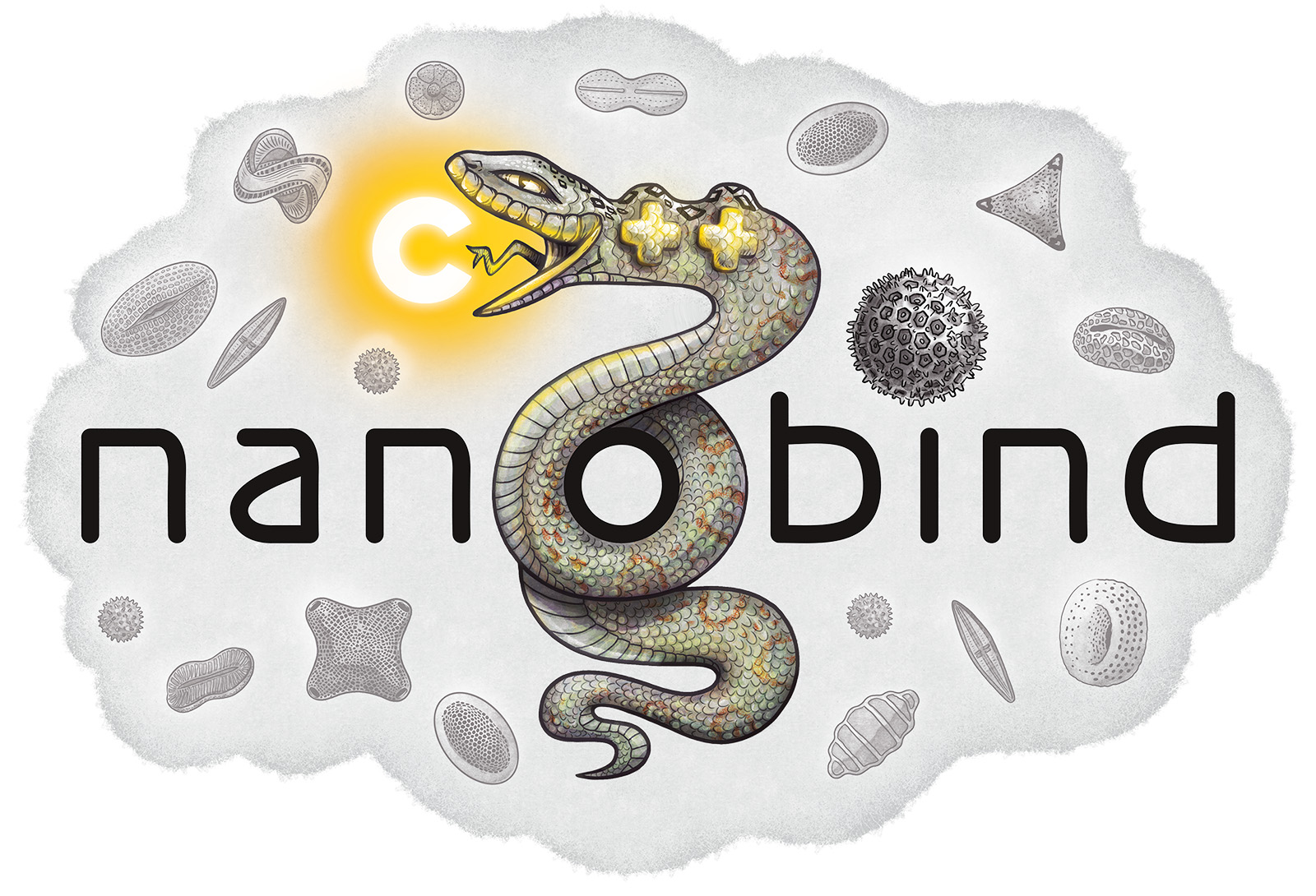 Nanobind: uma pequena biblioteca que expõe tipos de C ++ em Python e vice -versa