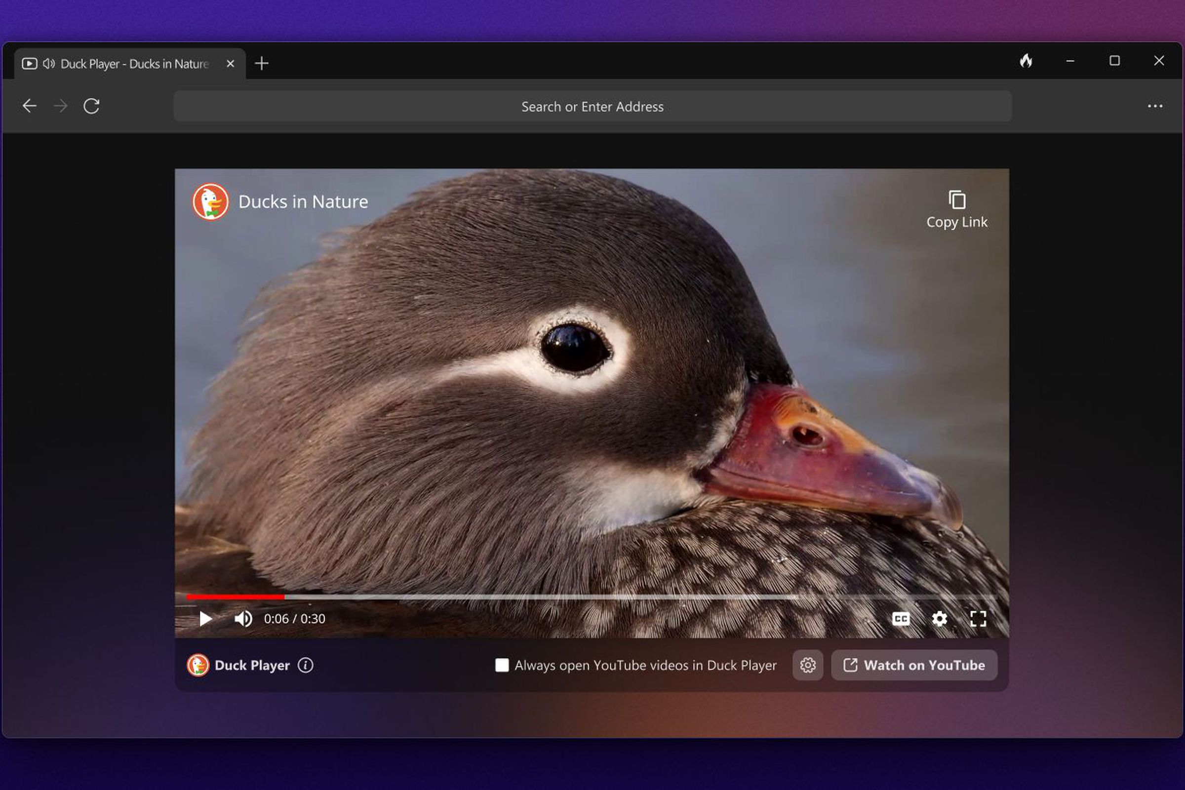 O navegador focado na privacidade do DuckDuckgo está disponível para o Windows agora