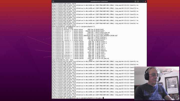 Mostrar HN: Basht – Um shell bash que lida melhor com multitarefa